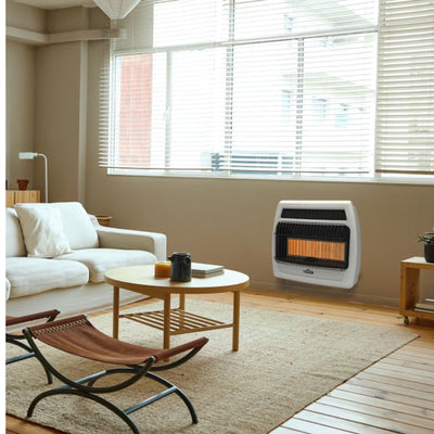 Master Forge 30000 -BTU Wall Radiant Heater Mount Indoor Natural gas or liquid