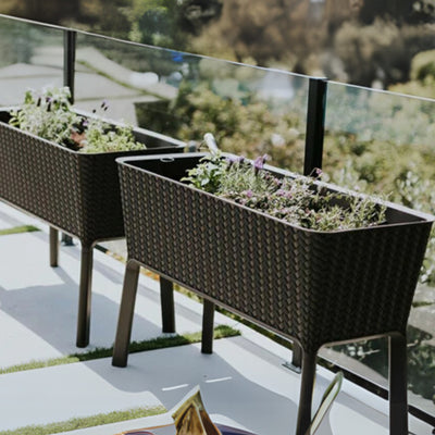 Keter Splendor 31.7 Gallon Raised Garden Bed  | Vegetables, Herbs | Brown