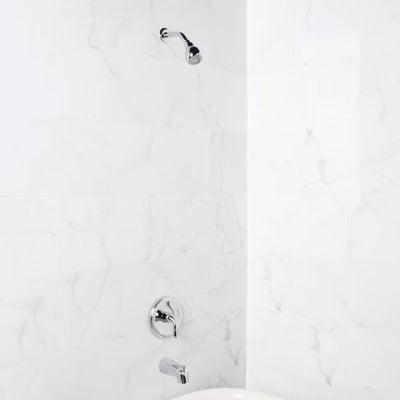 Project Source Dover Chrome 1-Handle Shower Faucet | 2.75" Round Single Function