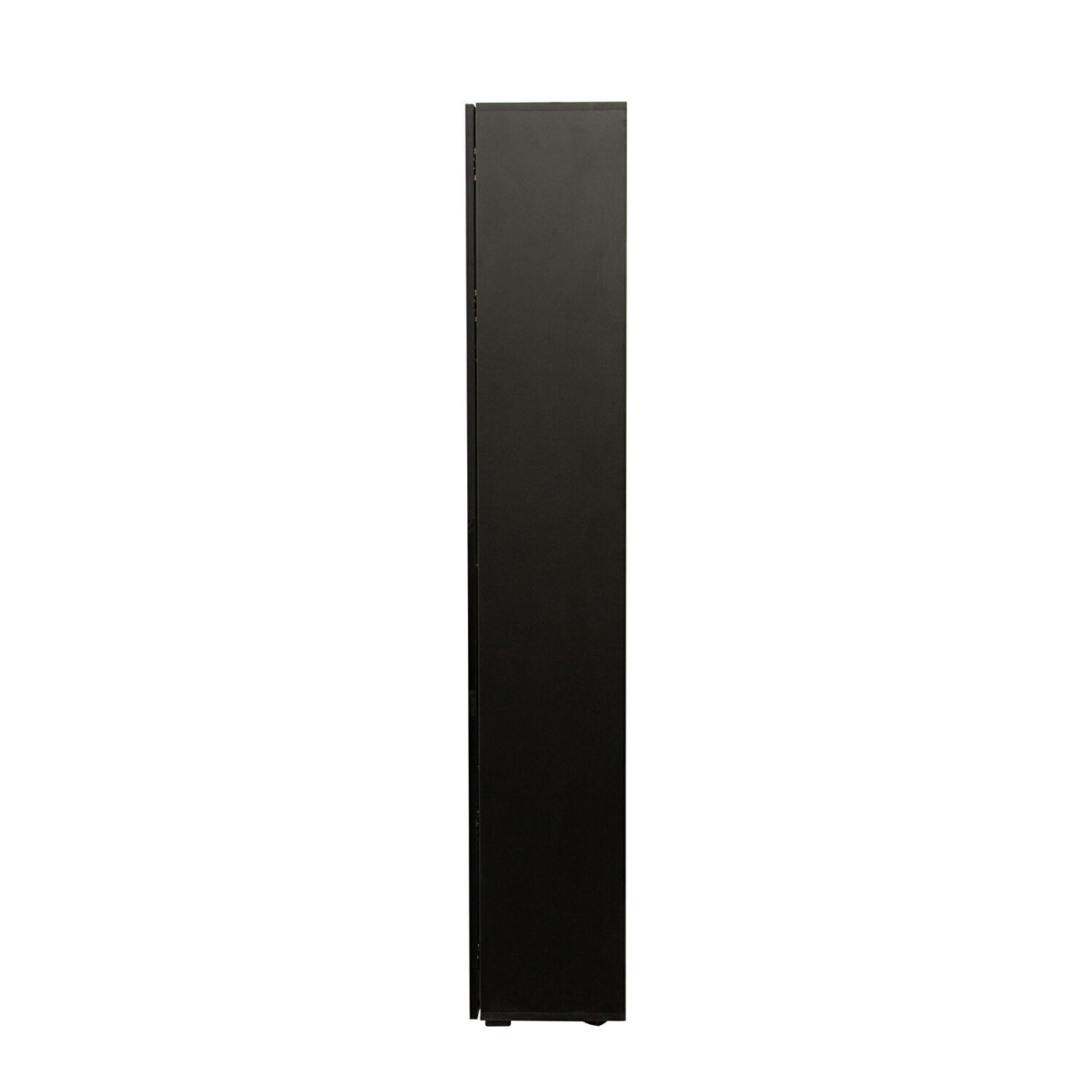 SPOFLYINN 4-Tier Tall Storage Cabinet | Slim Side Cabinet with LED Lighting | Black
